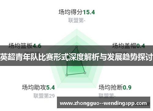 英超青年队比赛形式深度解析与发展趋势探讨