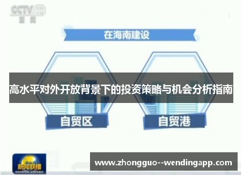 高水平对外开放背景下的投资策略与机会分析指南